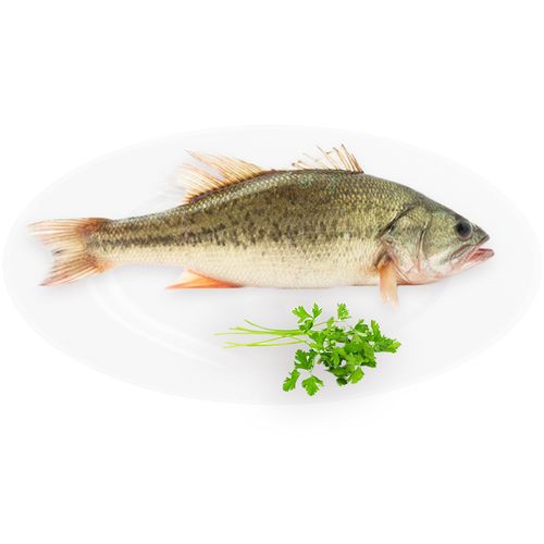 鄱陽蔬菜批發配送中心