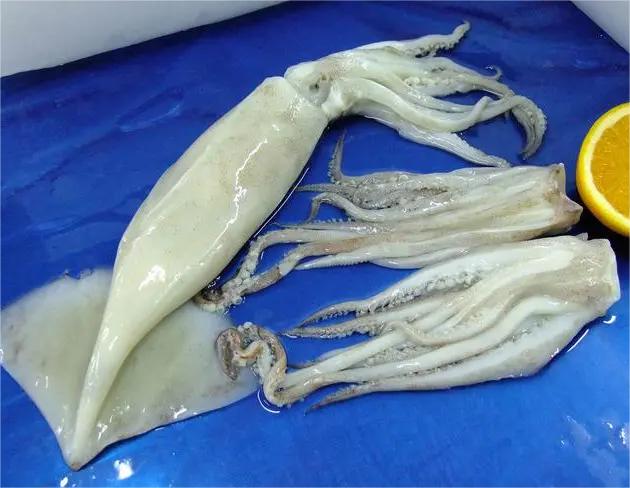 宜陽配送蔬菜的公司電話