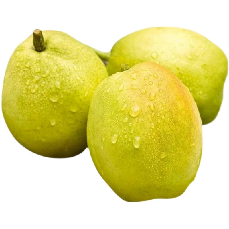 春季飲食應以清淡為主 養生三部曲早春