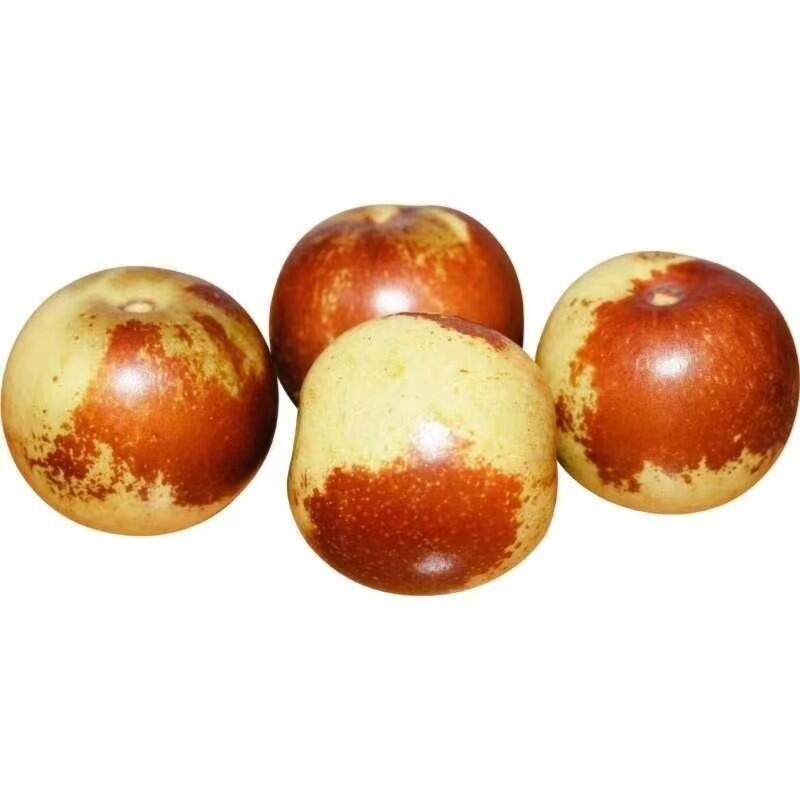 春季飲食排毒養生 吃排毒菜早春