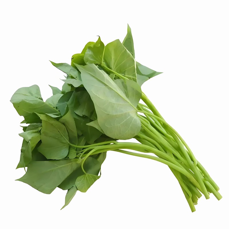 春分時節：減衣不宜過早起居應晚睡早起早春