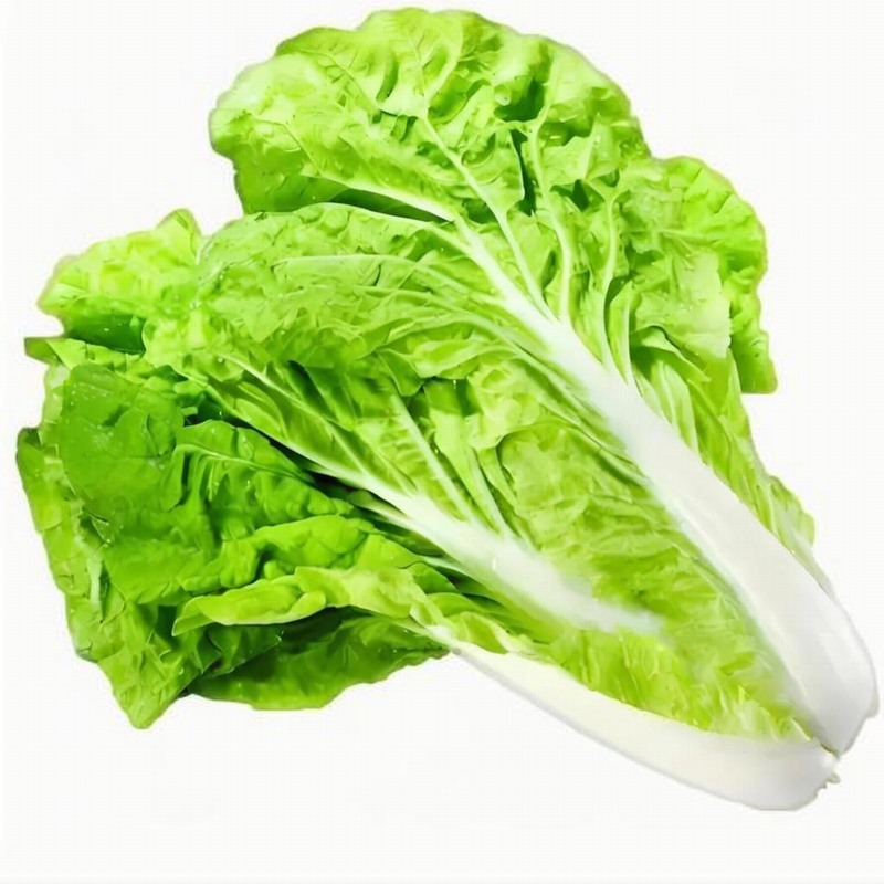 春花燦爛需防“桃花癬”早春