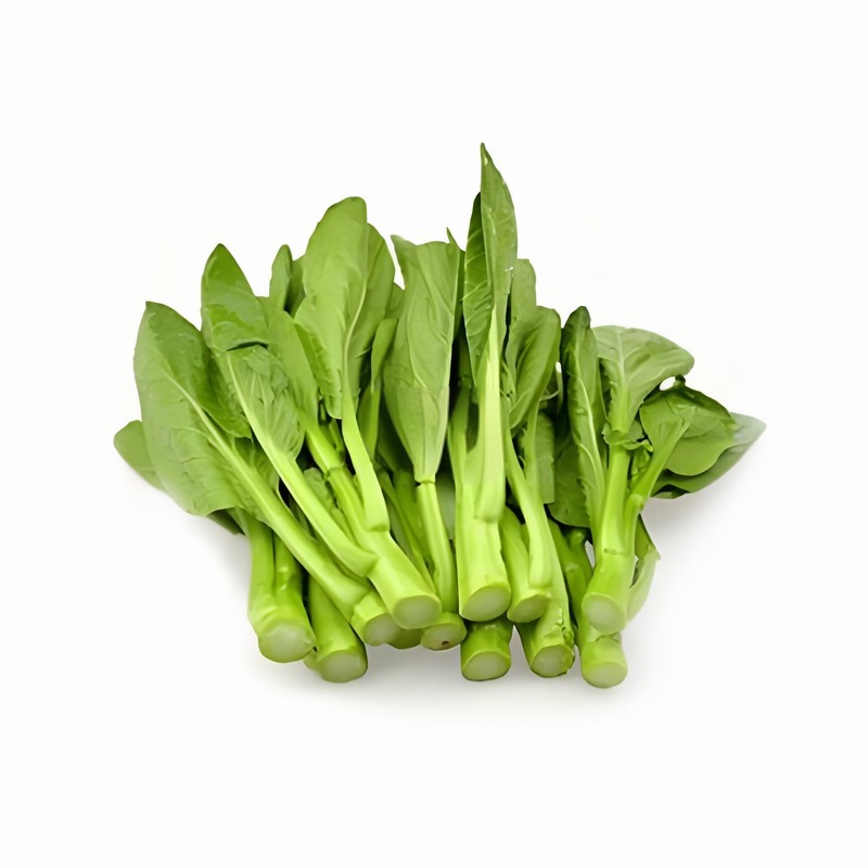 春分時節9種不同體質的養生早春